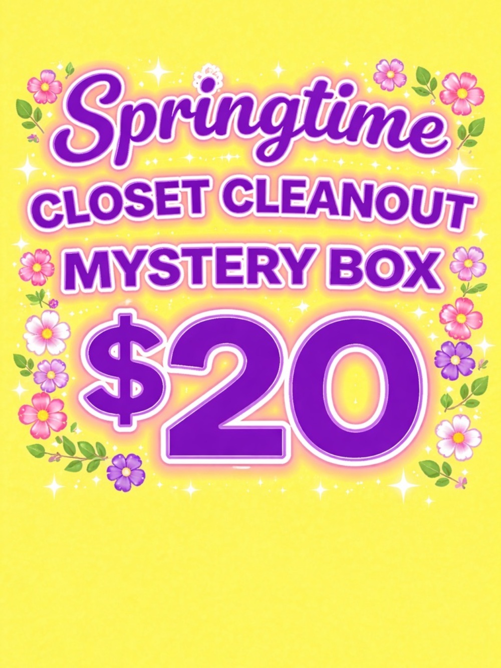 Springtime Closet Cleanout Mystery Box $20